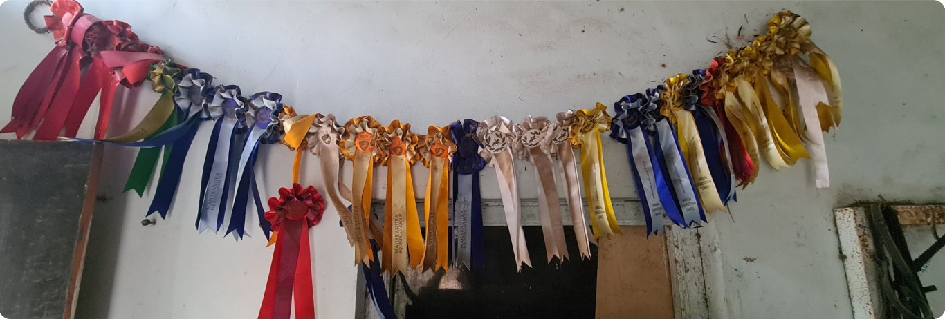 medals